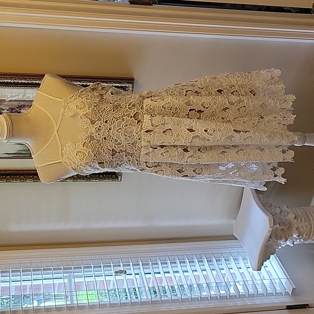 Francesca's white lace Fit & Flare dress sleevele fully lined in nude Large EUC…